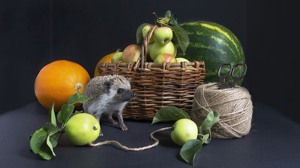 Photograph by Людмила Железнова