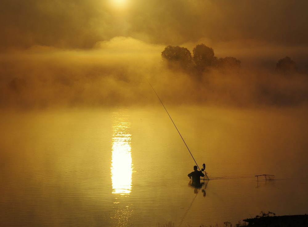 Photograph by Сергей Шляга