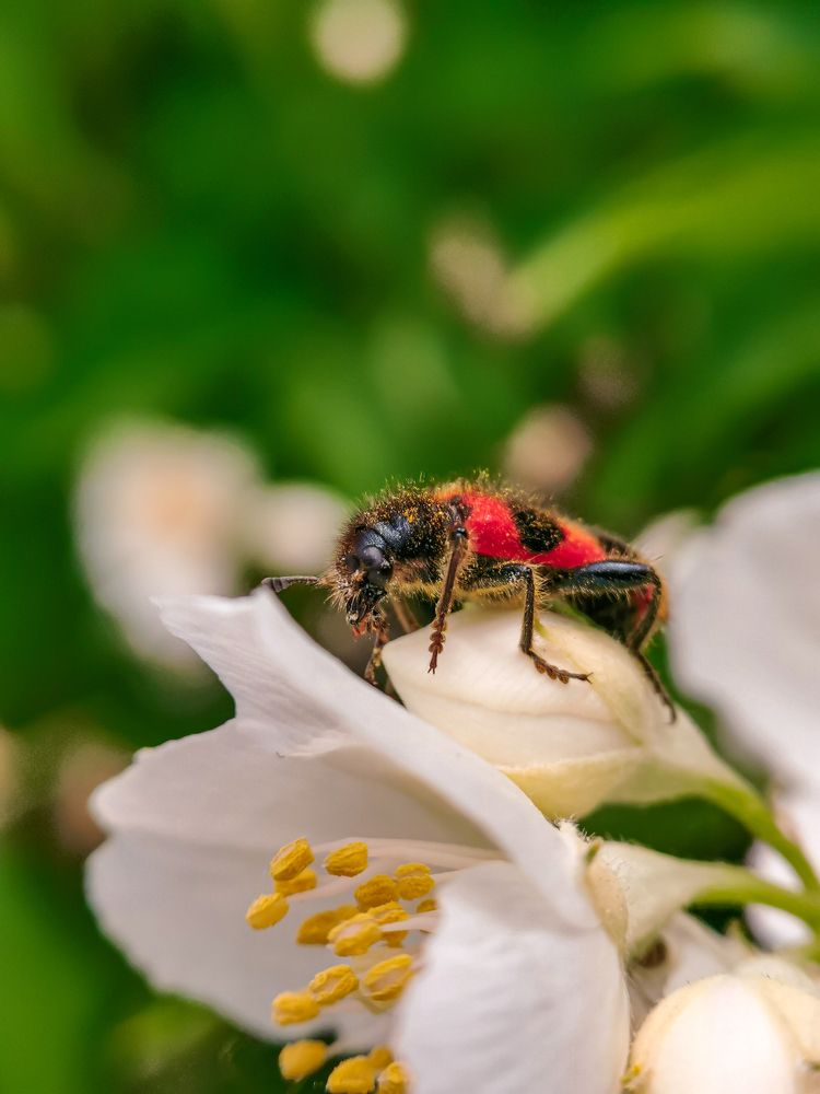Photograph by Кирилл Никулин