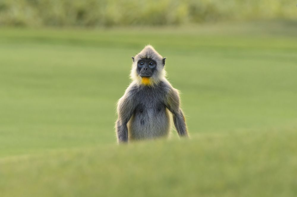 Photograph by Валерия Трейтяк