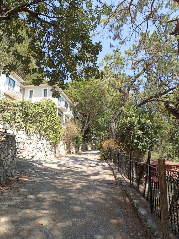 Photograph by Юлия