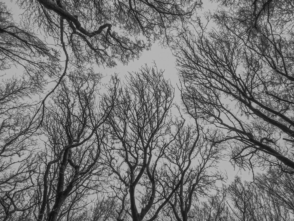 Photograph by Всеволод Маслов