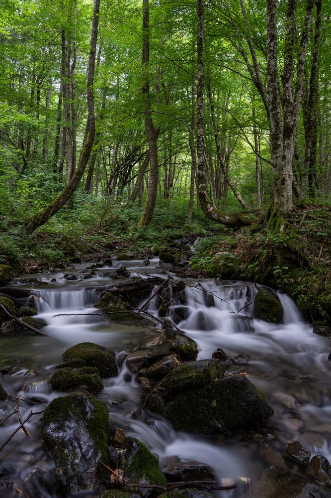 Photograph by Владимир Запорожченко