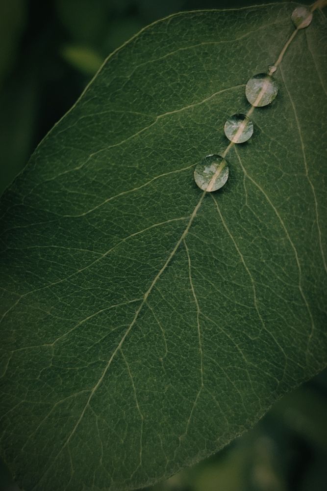 Photograph by Татьяна Штунь