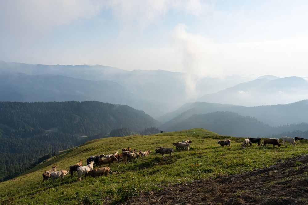 Photograph by Владимир Запорожченко