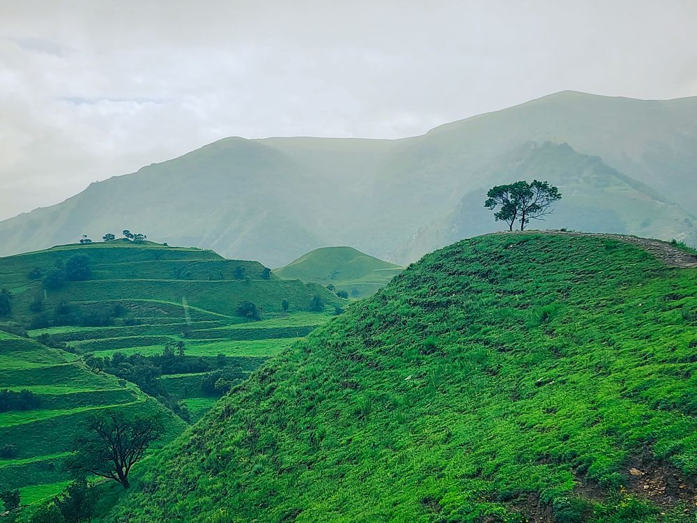 Photograph by Анна Липоткина