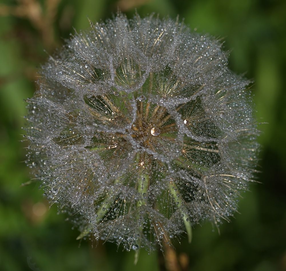 Photograph by Анатолий Васильев