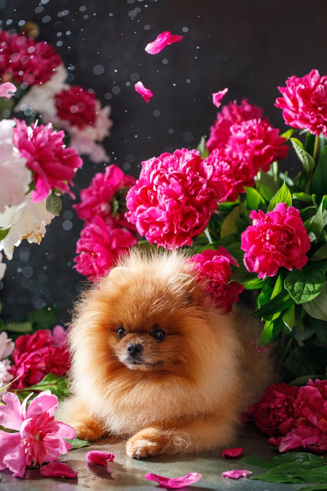 Photograph by Kristina Shavratskaya