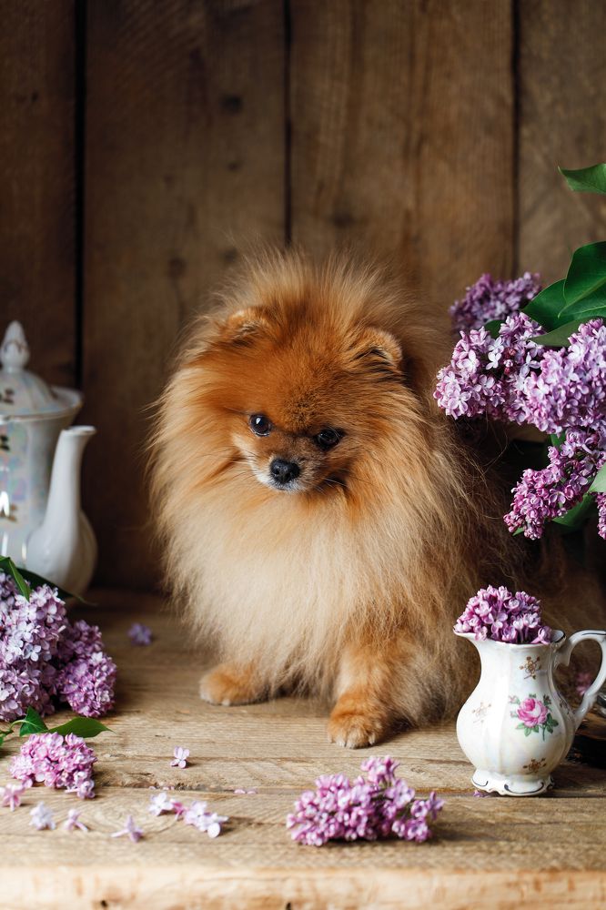 Photograph by Kristina Shavratskaya