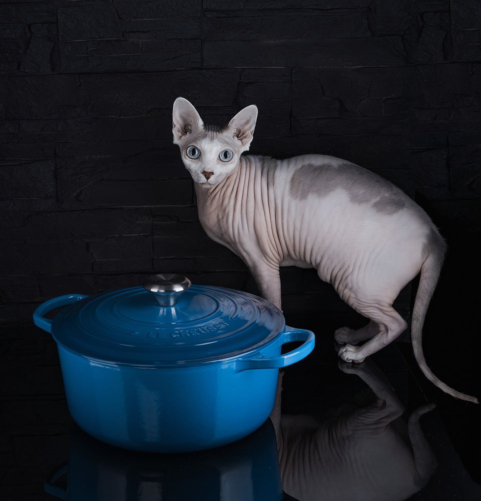 Фотография автора Igor Lukin