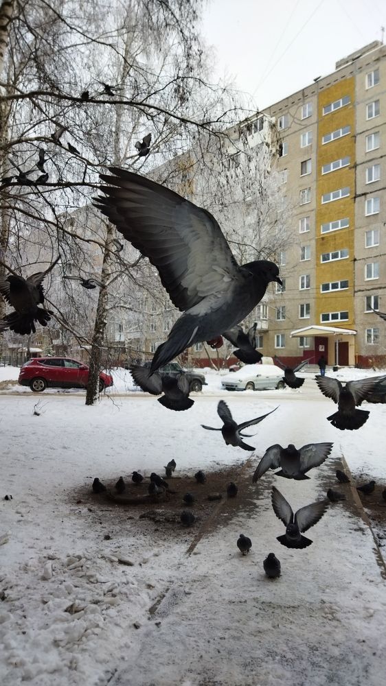 Photograph by Алия Кутлова