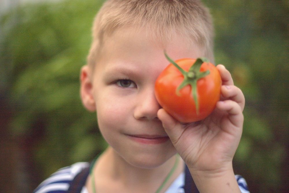 Photograph by Наталья  Тапилкина