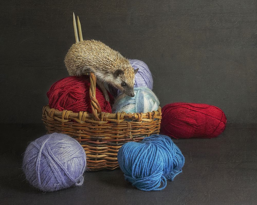 Photograph by Людмила Железнова