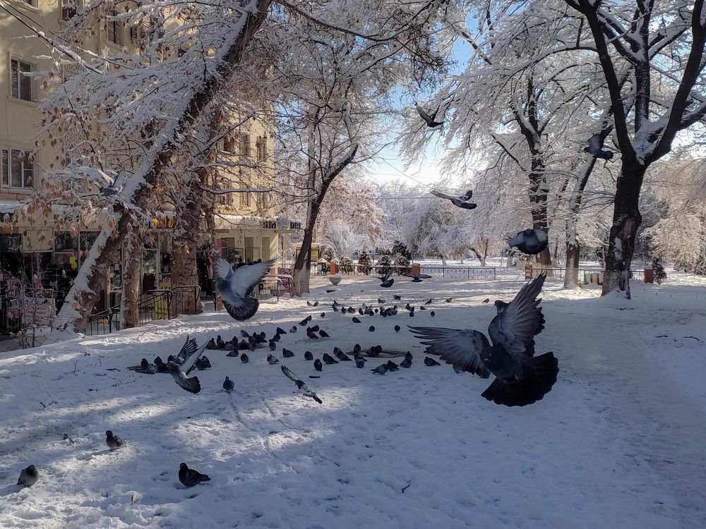 Фотография автора Ivan