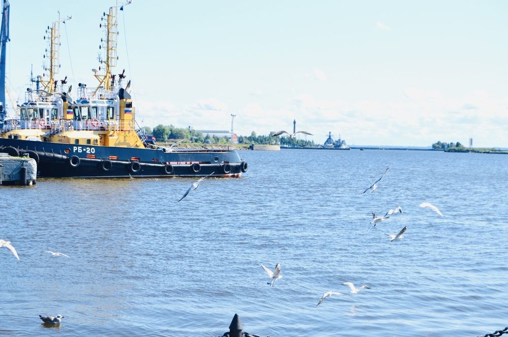 Photograph by Наталья Душакова