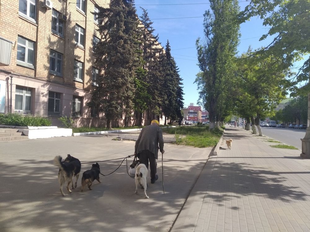 Photograph by Надежда Болтунова