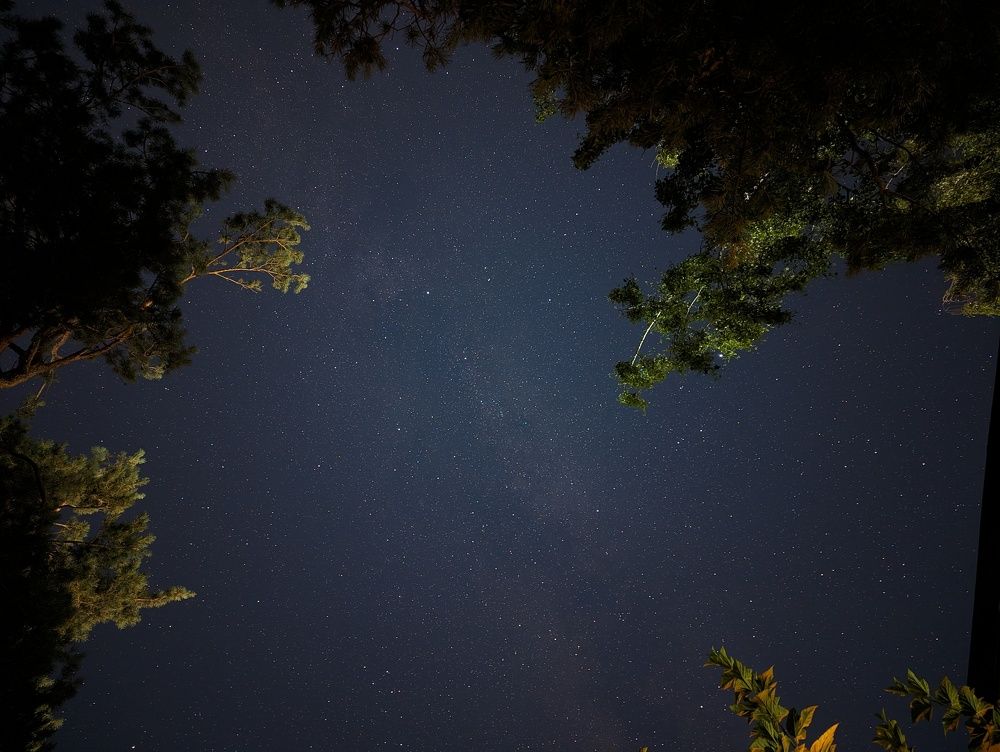 Photograph by Дарья Булавина