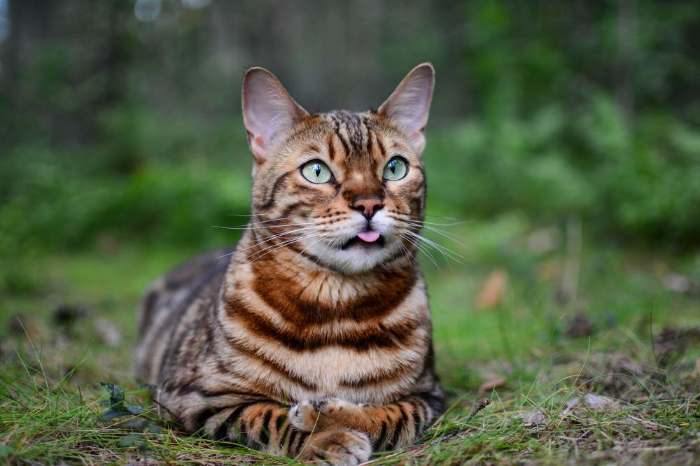 Photograph by Александр Павлов