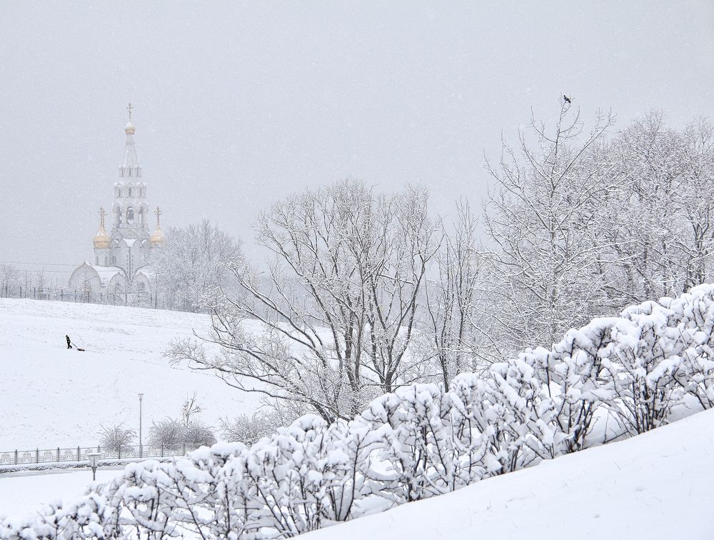Фотография автора Елена Лаврова