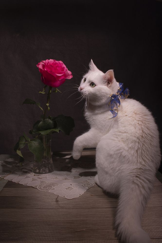 Photograph by Екатерина Бурикова