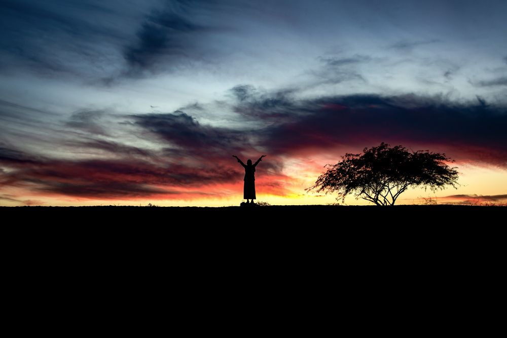 Photograph by Soheil Shahbazi