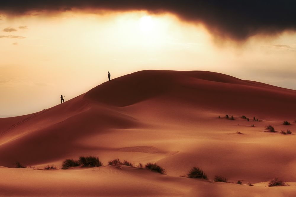 Photograph by Soheil Shahbazi