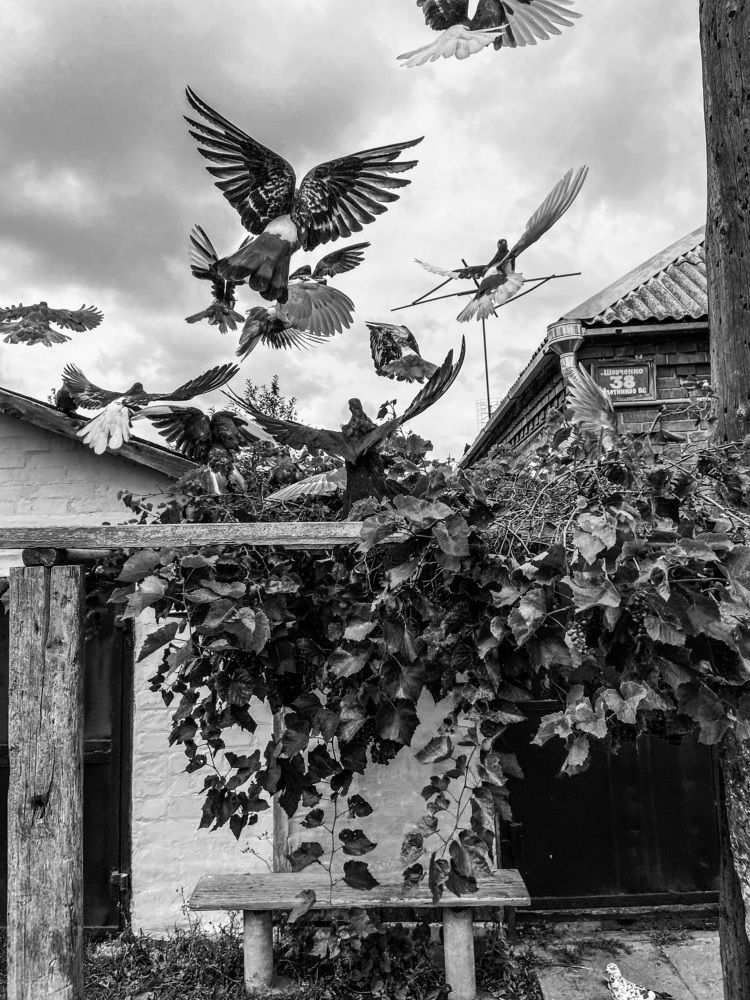 Photograph by Олена Уманцева