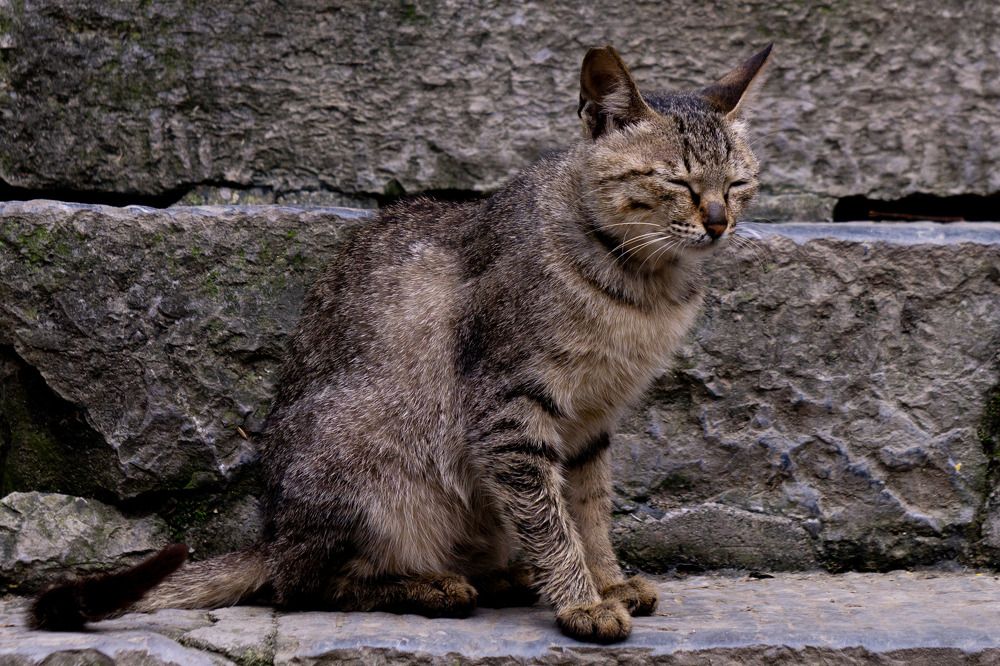 Photograph by Thong Tran Quoc