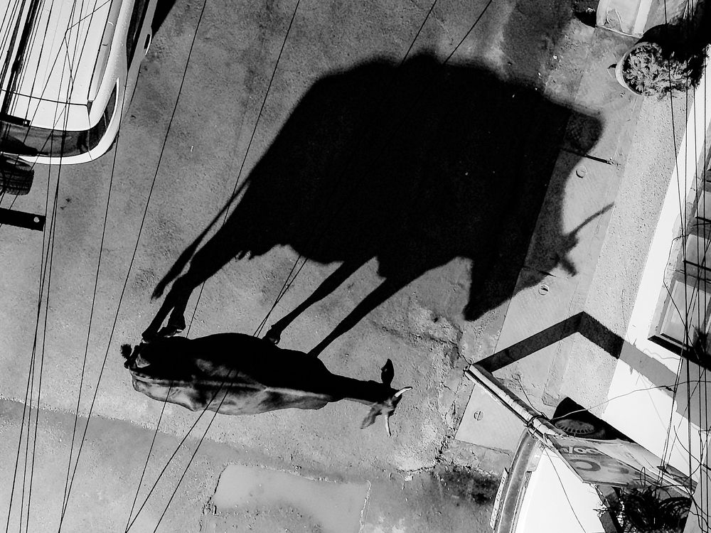 Фотография автора Anuj Medhavi