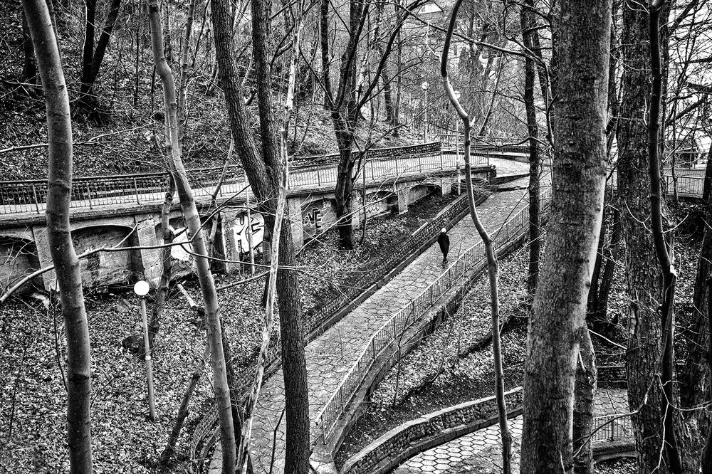 Photograph by Тамара Цилиакус