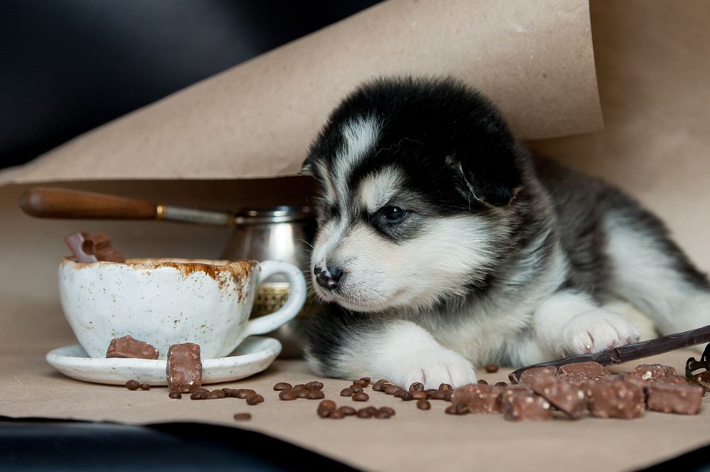 Photograph by Ирина Логовская