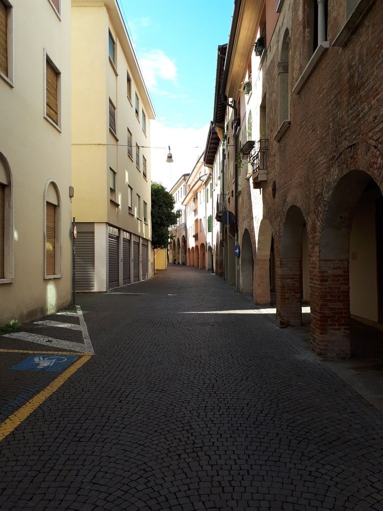 Photograph by Надежда Кудрявцева