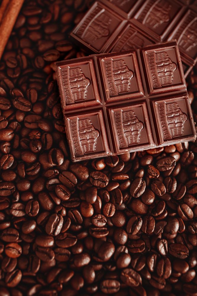 Фотография автора Альбина Кадочникова