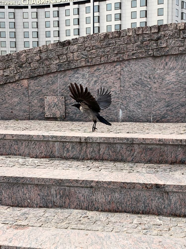 Photograph by Елена Макуха