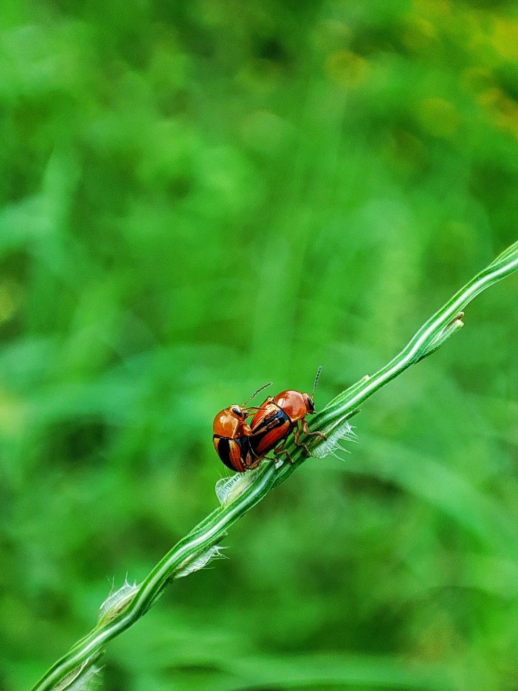 Photograph by NIKHIL RAMESH