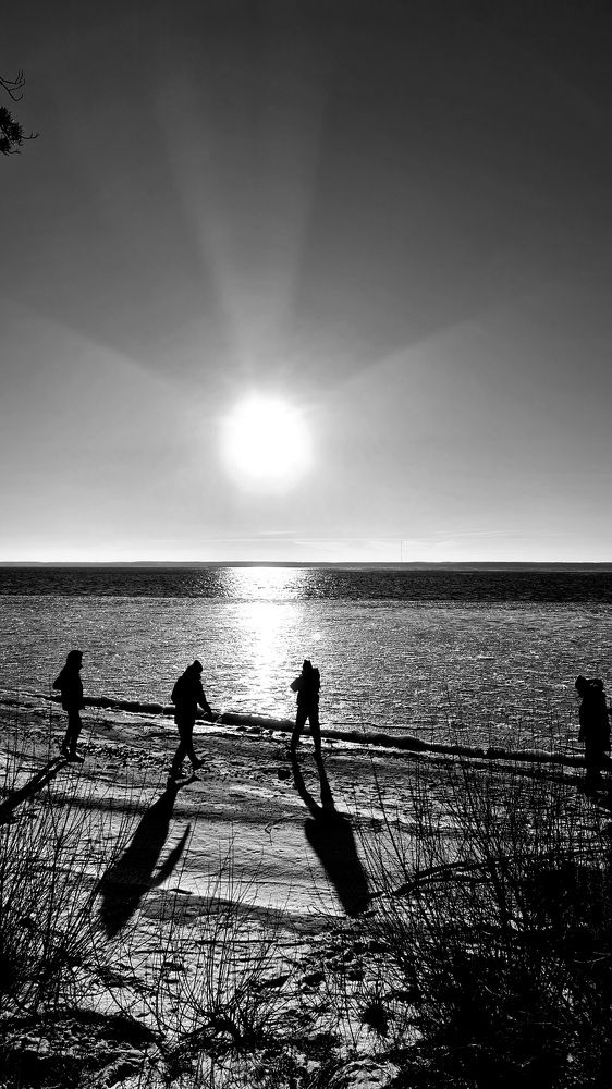 Photograph by Елена Ефимова