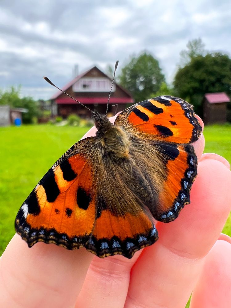 Photograph by Яна Мухина