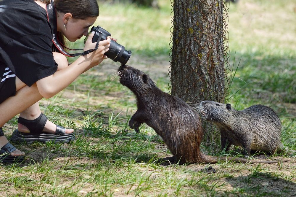 Куда смотреть?!