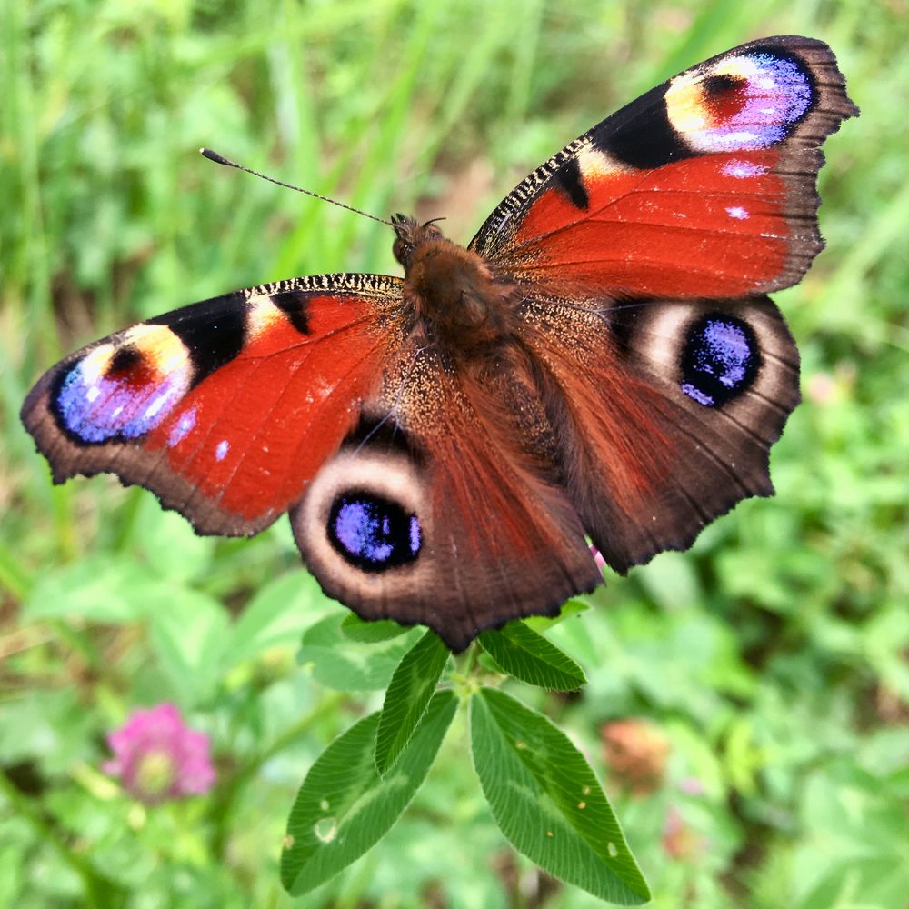 Photograph by Татьяна Ионова