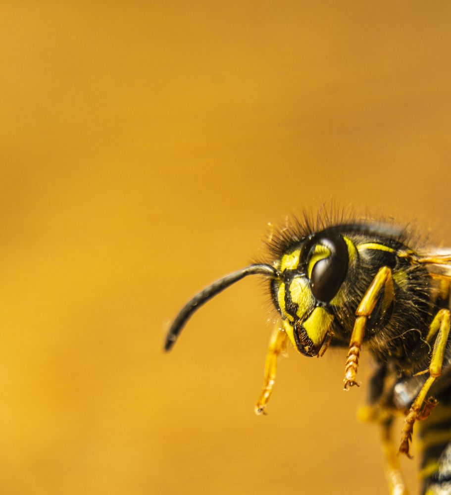 Photograph by Кирилл Рогов