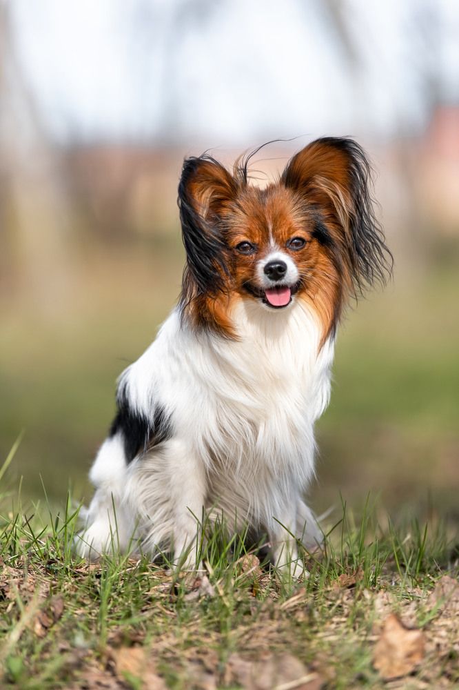 Photograph by Марина Шишкина