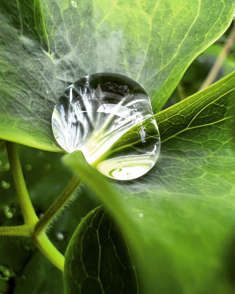 Photograph by Татьяна Волохова