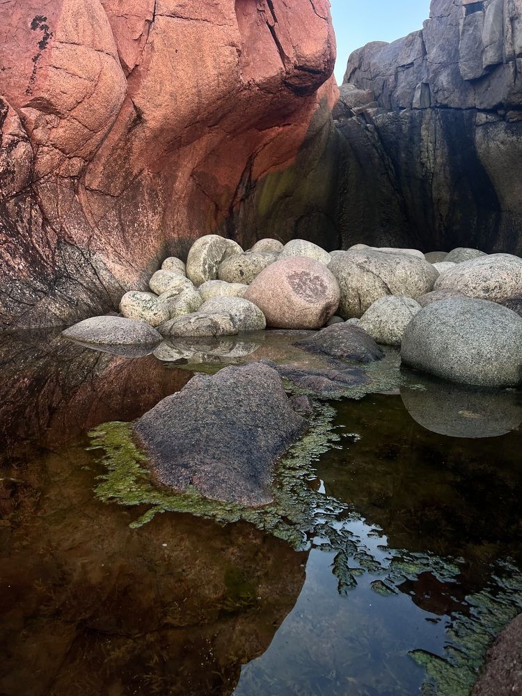 Фотография автора Святослав Комаров