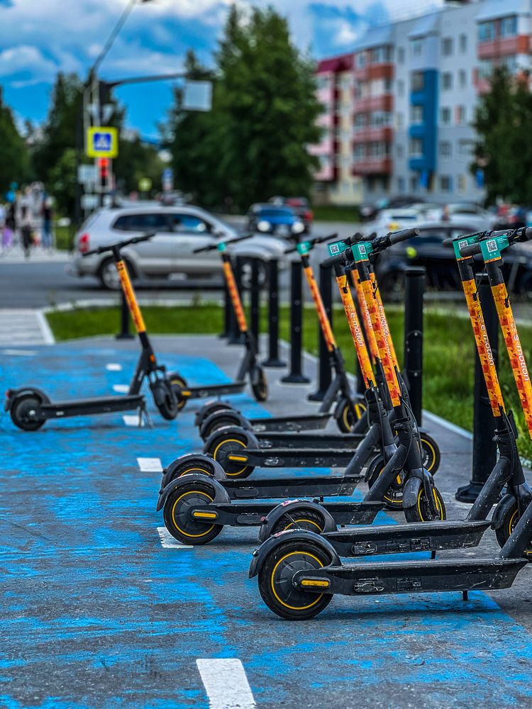 Фотография автора Анастасия Никифорова