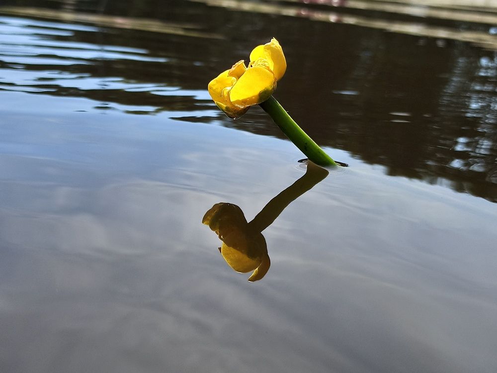 Photograph by Николай Яковлев