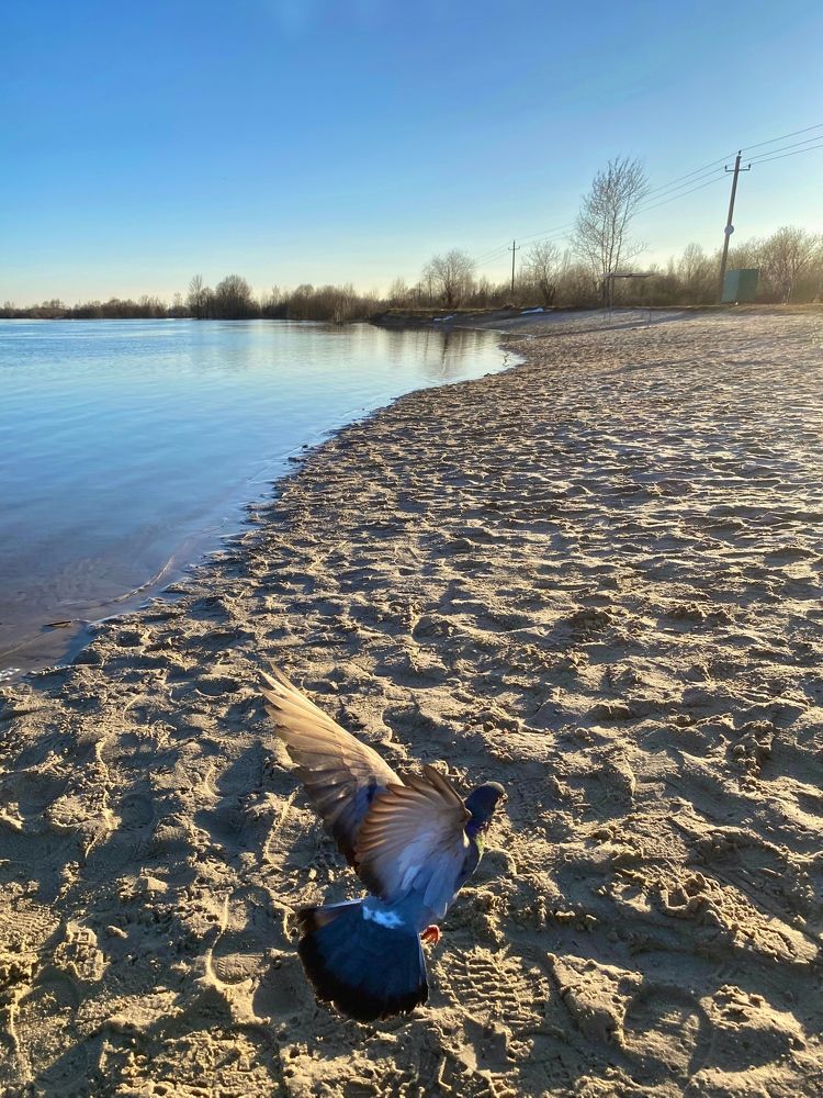 Photograph by ALESIA KUKHARENKA