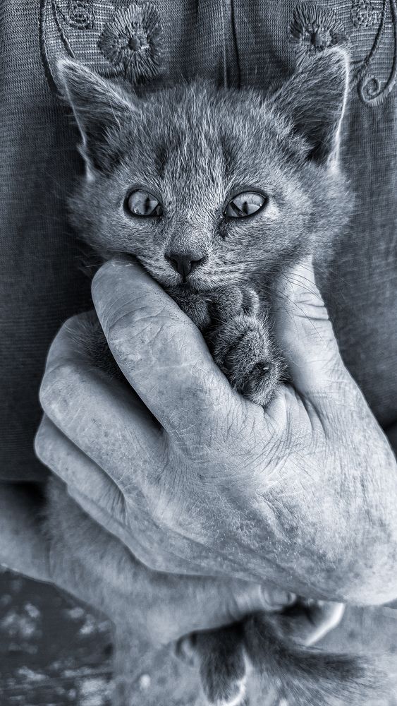 Фотография автора Дмитрий