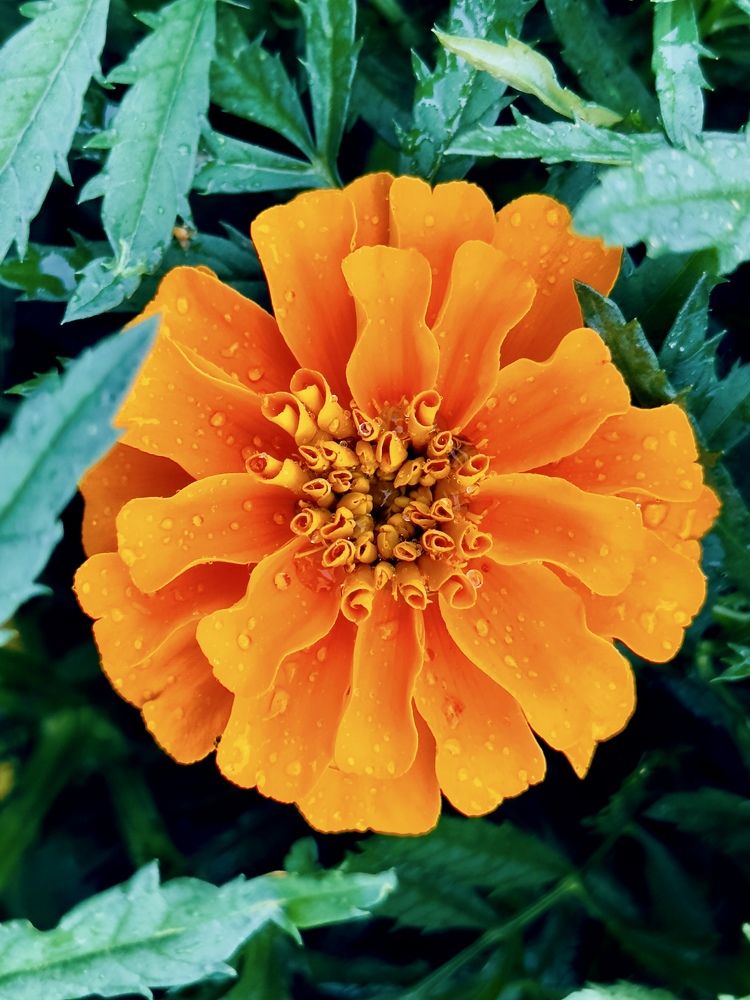 Photograph by Никита Петров