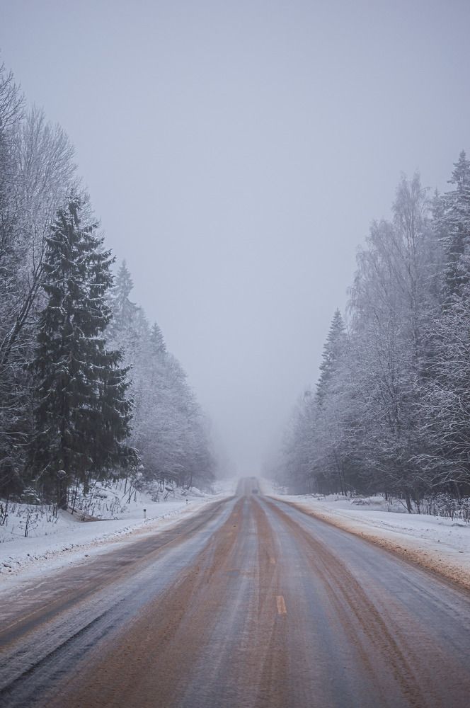 Photograph by Сергей Герасимов