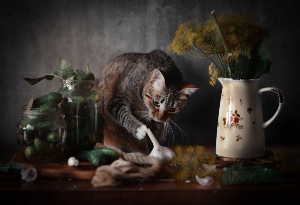 Photograph by Татьяна Звада